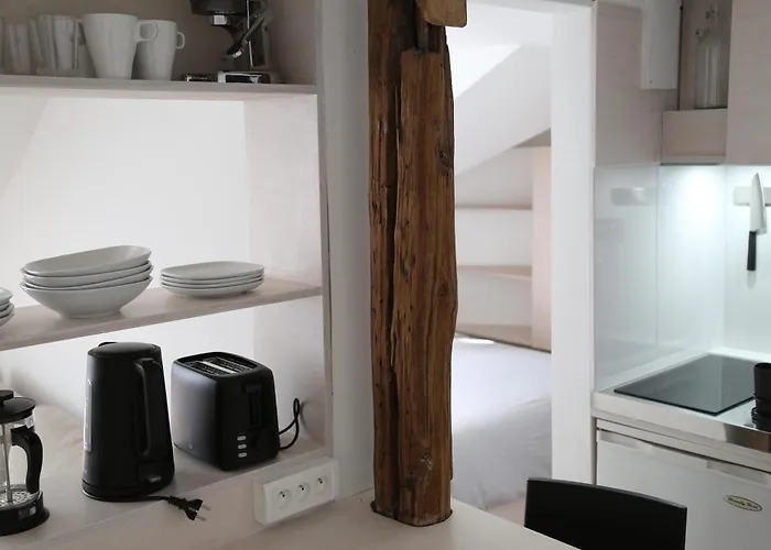 Le Cocon Perche Entre L'opera Et Les Tuileries 公寓 巴黎